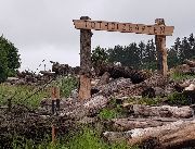 Totholzgarten