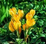 Frühling