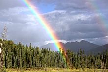 regenbogen