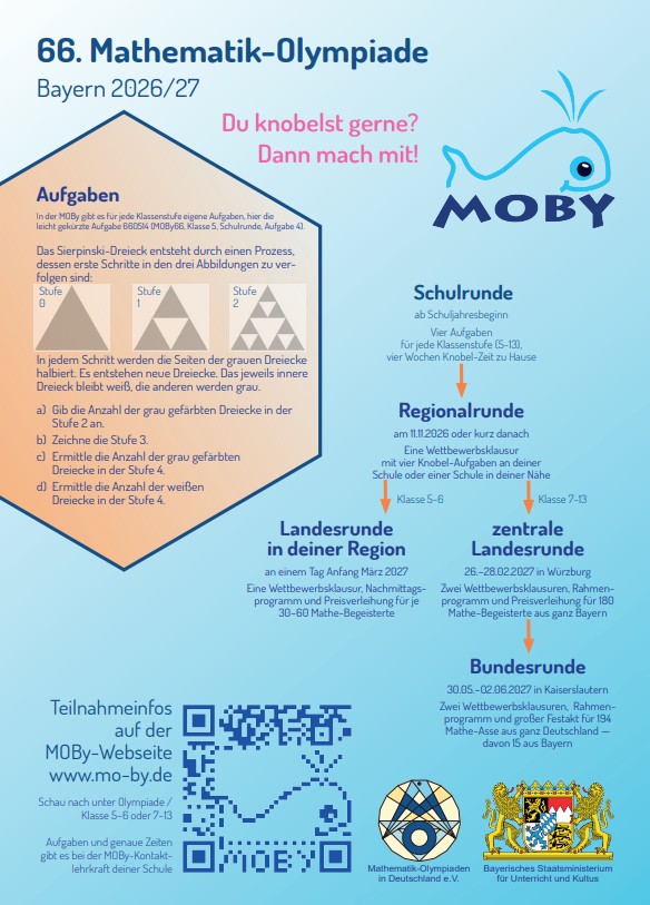 moby-flyer